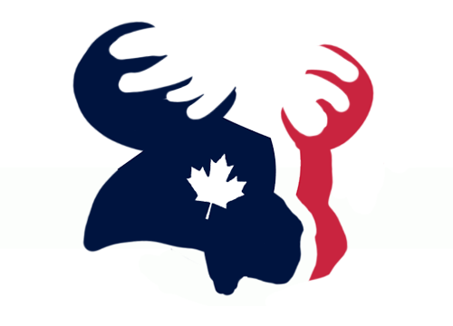 Houston Texans Canadian Logos iron on transfers